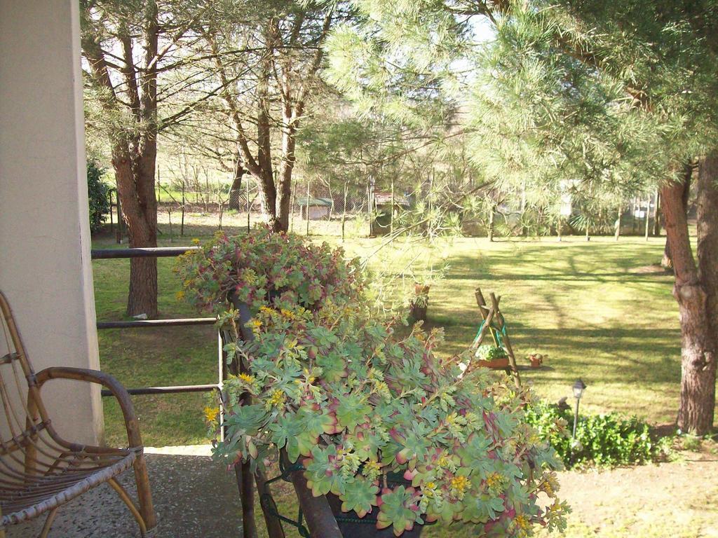Campo Alle Monache Bucine Habitación foto